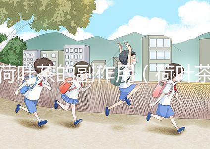 荷葉茶的副作用(荷葉茶的副作用與危害性)