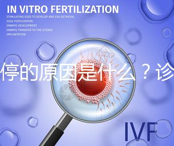 胎停的原因是什么？診斷鑒別80%是精子問題