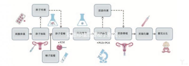胚胎移植后便秘了別慌，這5種方法你應該試試