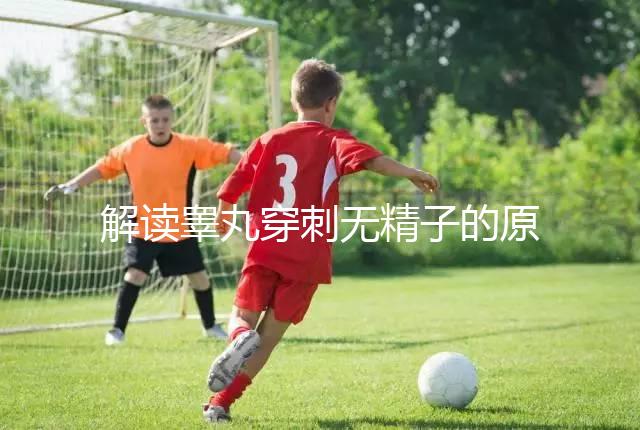 解讀睪丸穿刺無精子的原因，治愈性不大供精或是最后選擇