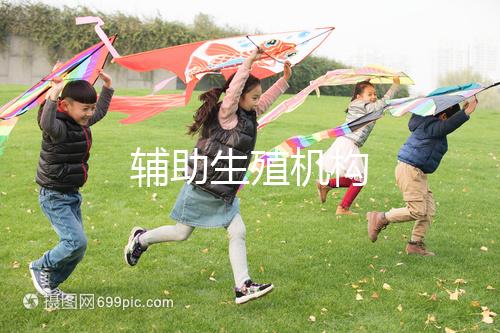 輔助生殖機構(gòu)