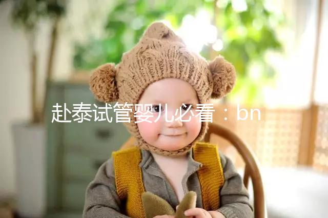 赴泰試管嬰兒必看：bnh和ibaby(愛(ài)寶貝)醫(yī)院對(duì)比介紹