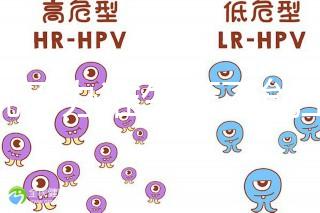 誰說不辦準(zhǔn)生證不能上戶，2020年生育新政策了解下！