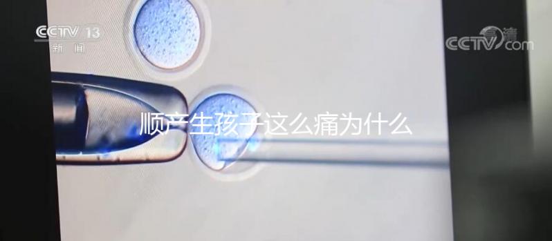 順產(chǎn)生孩子這么痛為什么大家能忍，這些真相非常戳心