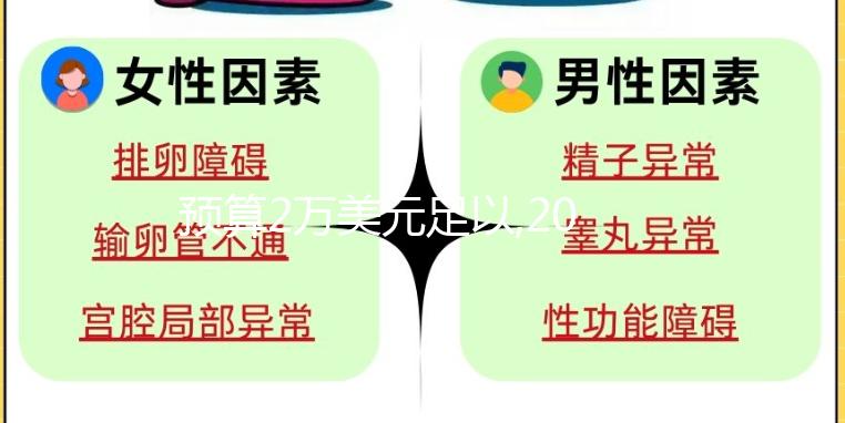 預(yù)算2萬美元足以,2024年赴俄凍卵詳細費用看這里!