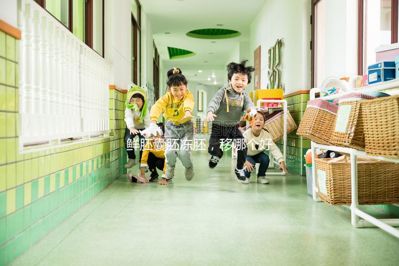 鮮胚囊胚凍胚，移哪個好？關于試管嬰兒的那些事兒