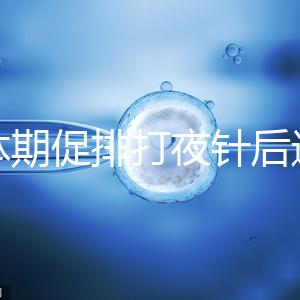 黃體期促排打夜針后還要吃地屈孕酮！服用后作用可真不少