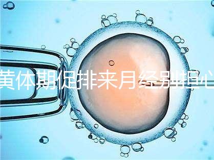 黃體期促排來月經別擔心！過來人經驗告訴你怎么辦