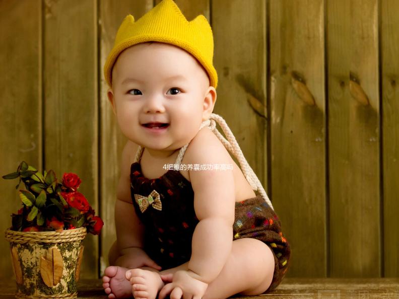 4細(xì)胞的養(yǎng)囊成功率高嗎？一起來(lái)聽(tīng)聽(tīng)“過(guò)來(lái)人”怎么說(shuō)