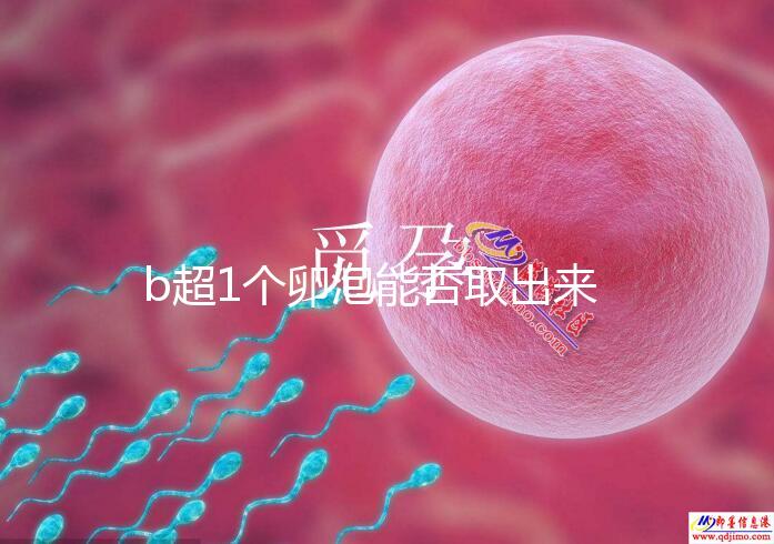 b超1個卵泡能否取出來分人，質量好或有一定受孕幾率