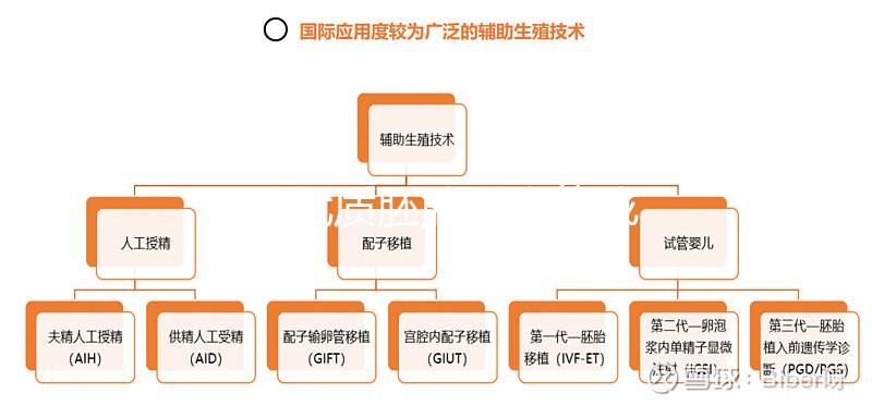 11個優質胚胎養囊能成功多少分人，只有5個可能是...