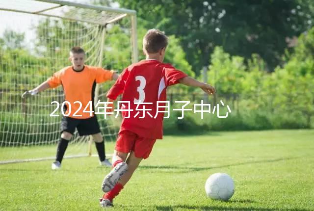 2024年丹東月子中心收費標準，能否接生問題整理，想要制作的戳