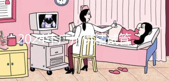 2024年廣州供精試管嬰兒最新價格表，必須符合要求