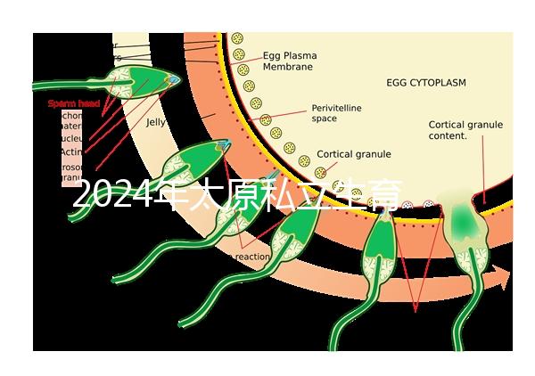 2024年太原私立生育醫(yī)院排名公開，上榜機(jī)構(gòu)分娩條件好