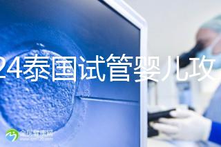 2024泰國試管嬰兒攻略索引:成功率，70