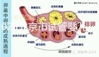 2025北京市試管嬰兒醫(yī)院大全,去這幾家做無(wú)需提供結(jié)婚證
