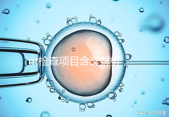 nt檢查項(xiàng)目含義解析，每個(gè)內(nèi)容都相當(dāng)重要